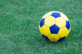 任选九场最新一期应用下载界面